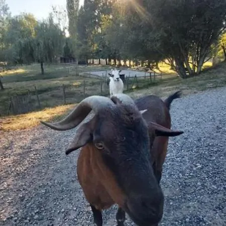 Daire Piscine, Et Nature - Sejour Classe *